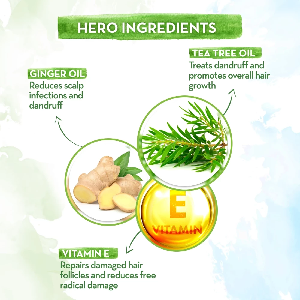 Tea Tree Shampoo for Dandruff Free Hair, 250 ml-3.webp